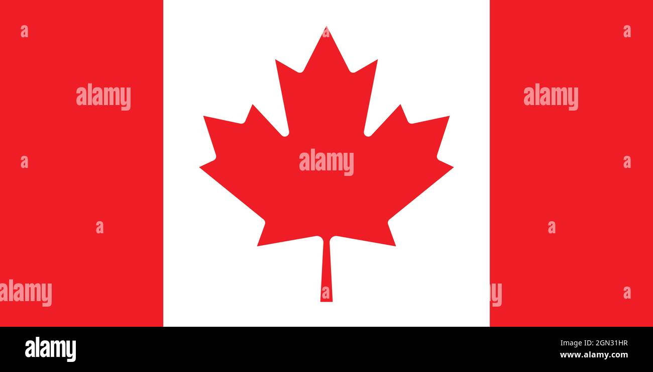 National flag of Canada original size and colors vector illustration, le Drapeau national du Canada or Canadian flag, Canadian Maple Leaf designed by Stock Vector
