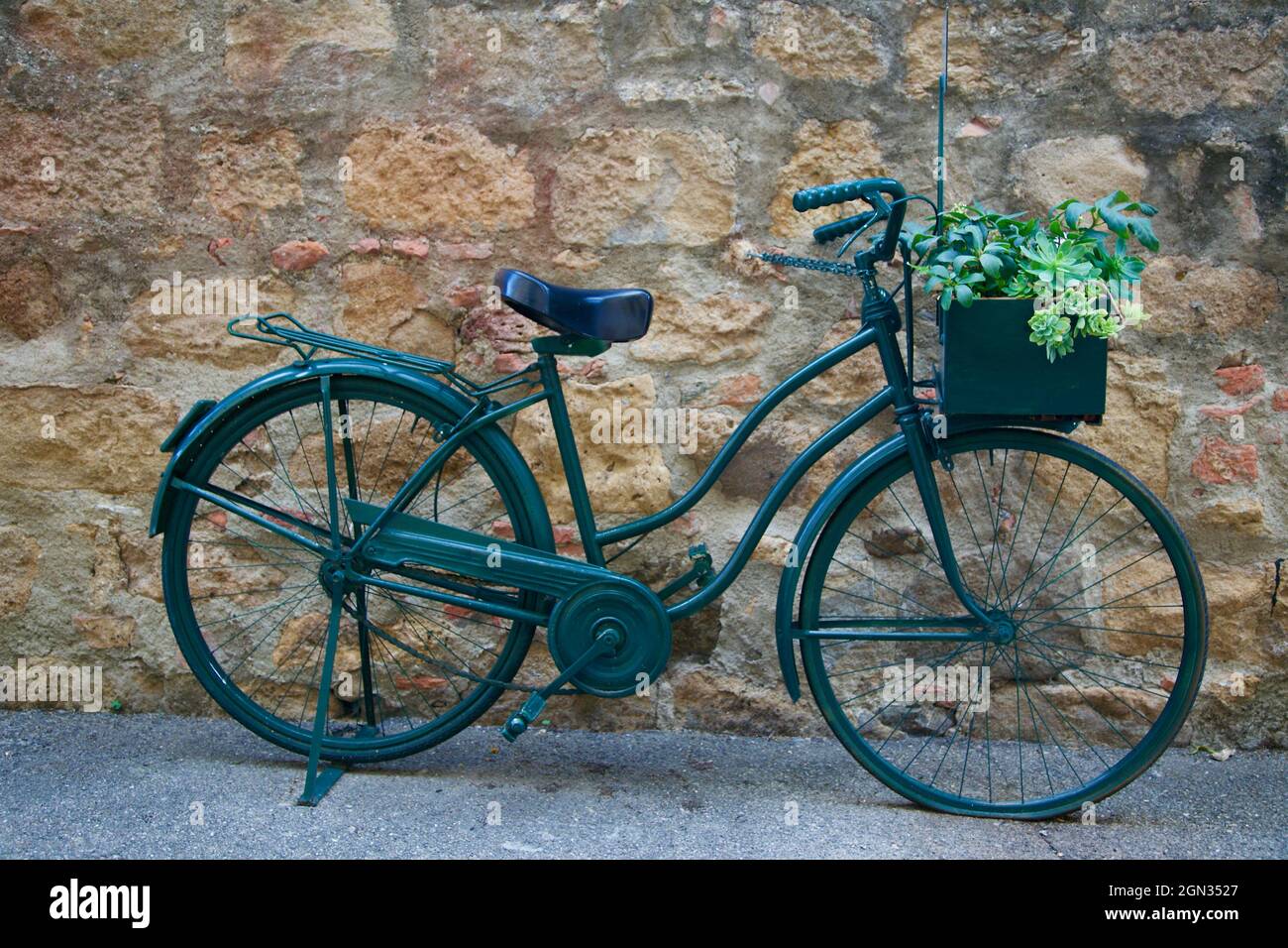 beautiful green bicycle with basket with plants in front Stock Photo