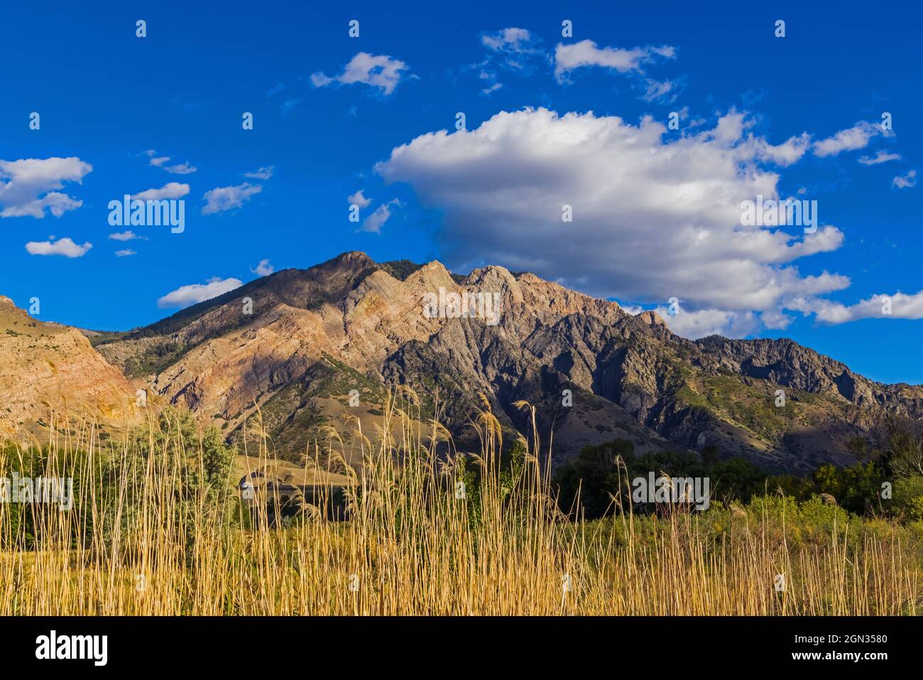 The dappled sunlight falls on Willard Mountain, a rugged mountain in the Wasatch Mountain Range east of Willard, Box Elder County, Utah, USA. Stock Photo