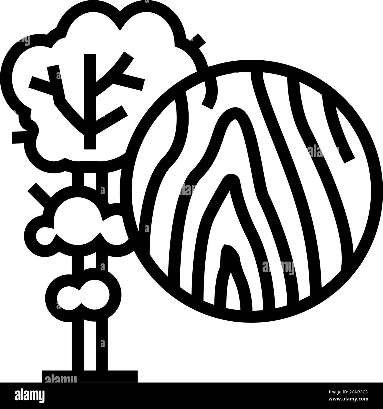 Teak wood forest Stock Vector Images - Alamy