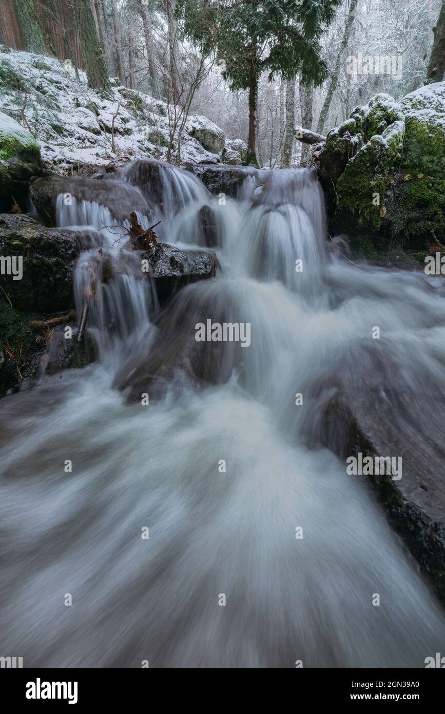 Fast river stream flowing through rough boulders among snowy trees in  Sierra de Guadarrama National Park in Madrid Stock Photo - Alamy, image size:867x1390