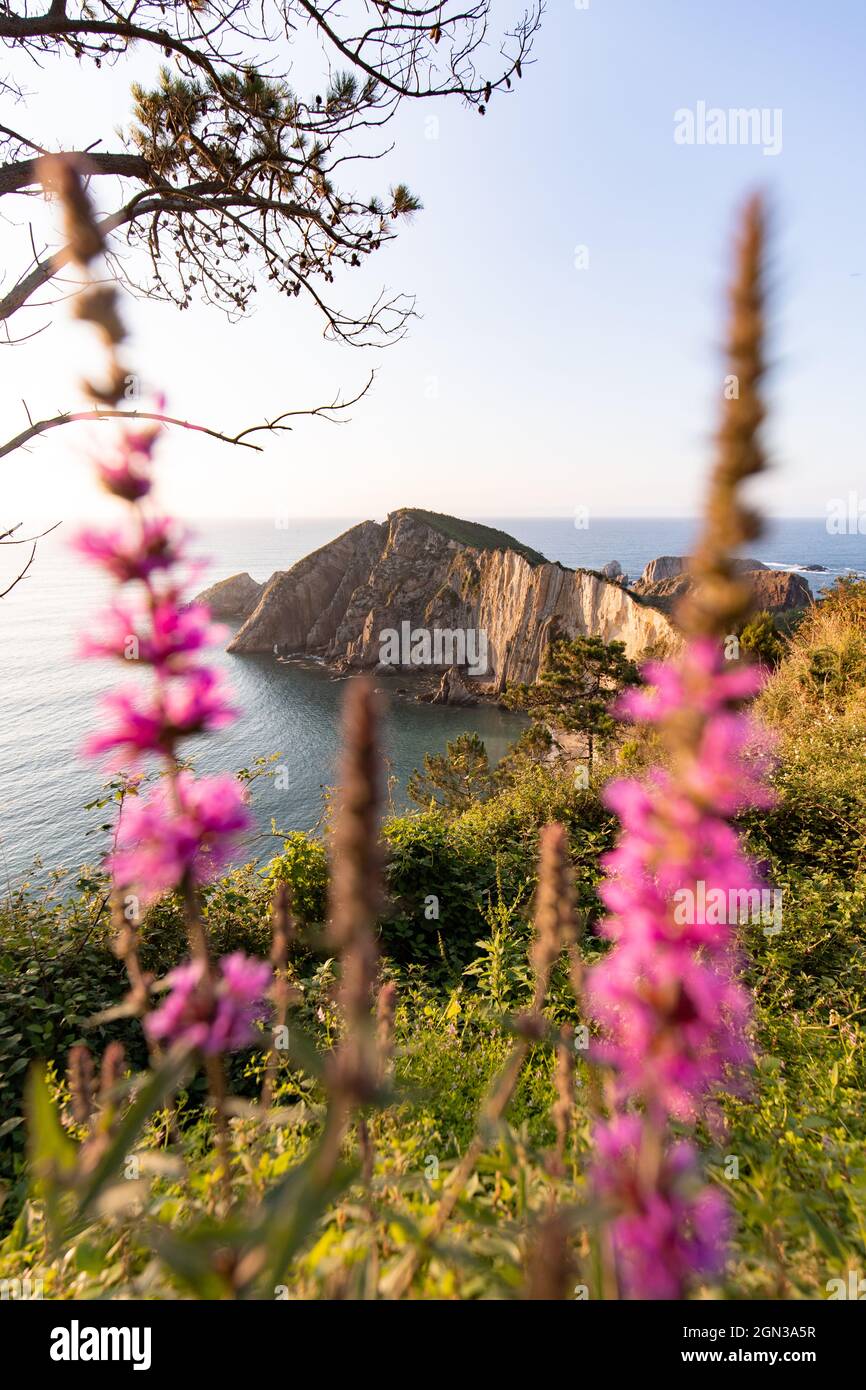 Scenic view of cliff in rippled ocean with horizon against blossoming flowers under light sky in Asturias Spain Stock Photo