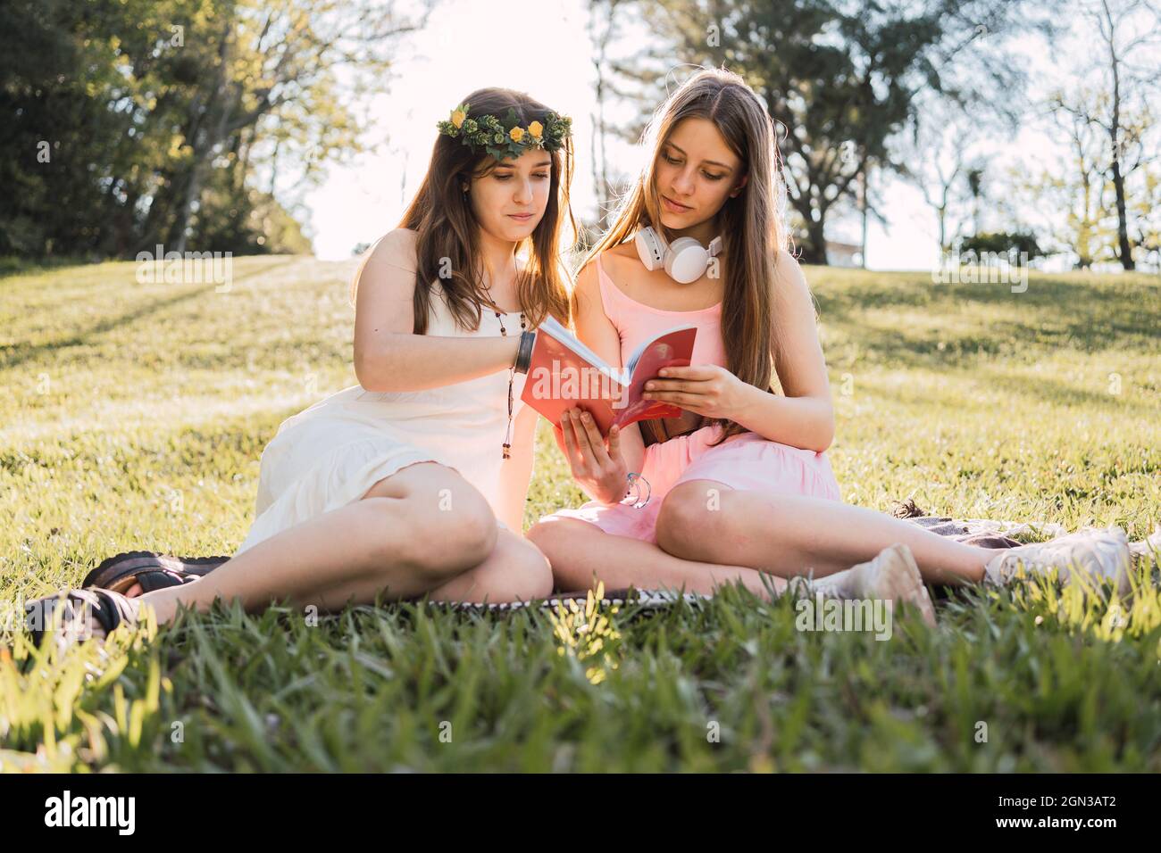 Park In Rear girlfriends in sundresses sharing textbook while sitting on meadow in ...