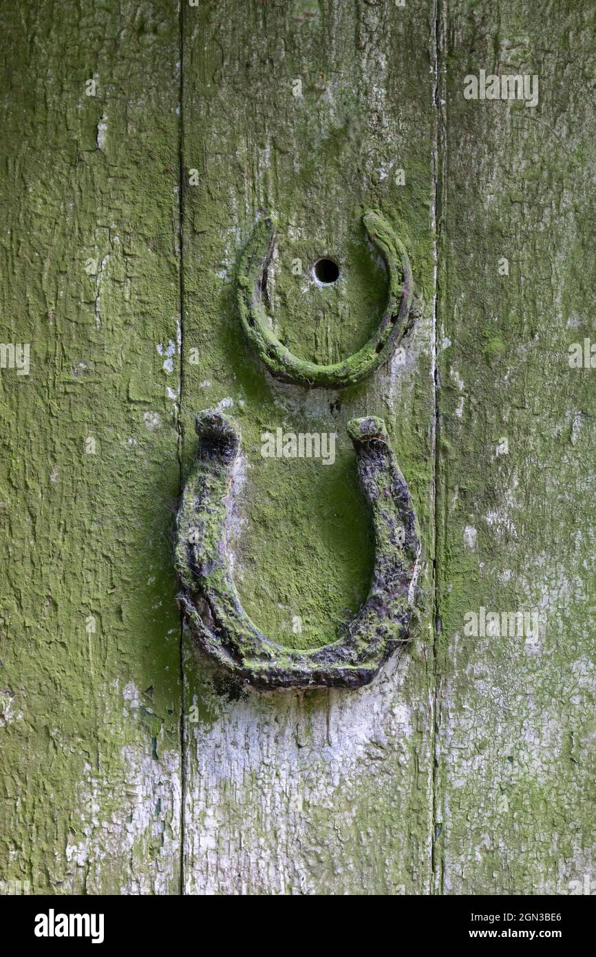 Horseshoes,a lucky charm to bring good fortune, on a derelict, old cottage front door, Westgate in Weardale, County Durham, UK Stock Photo