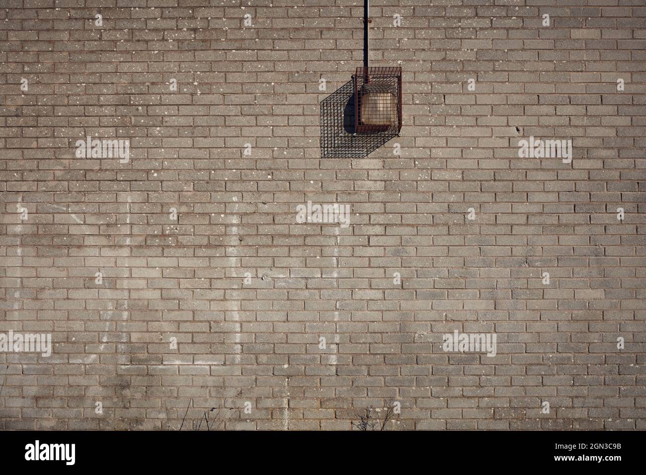 Grey brick wall with vandal proof light Stock Photo