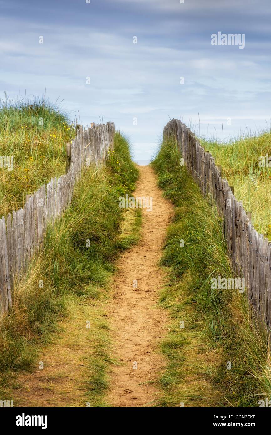 Path to West Sands Beach. The long stretch of beach at West Sands in St Andrews, Fife, is backed by low dunes. Stock Photo