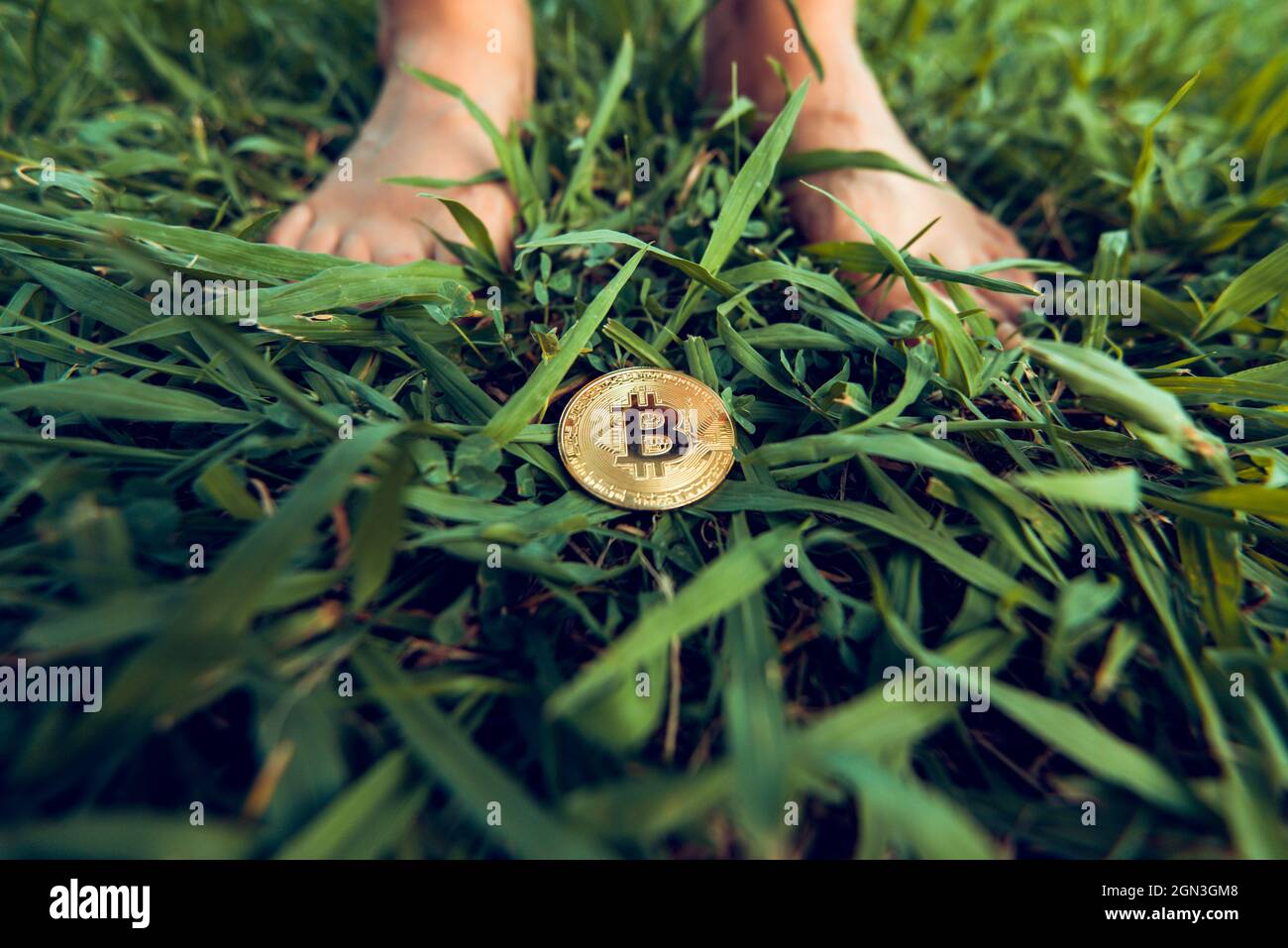 Feet near bitcoin on grass. a symbol of slavery. The symbol of the mining  Business, finance, Account, Economy, trade and investment concept Stock  Photo - Alamy