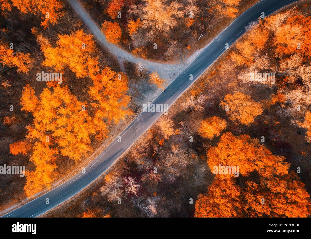 Aerial view of road in beautiful forest at sunset in autumn Stock Photo ...