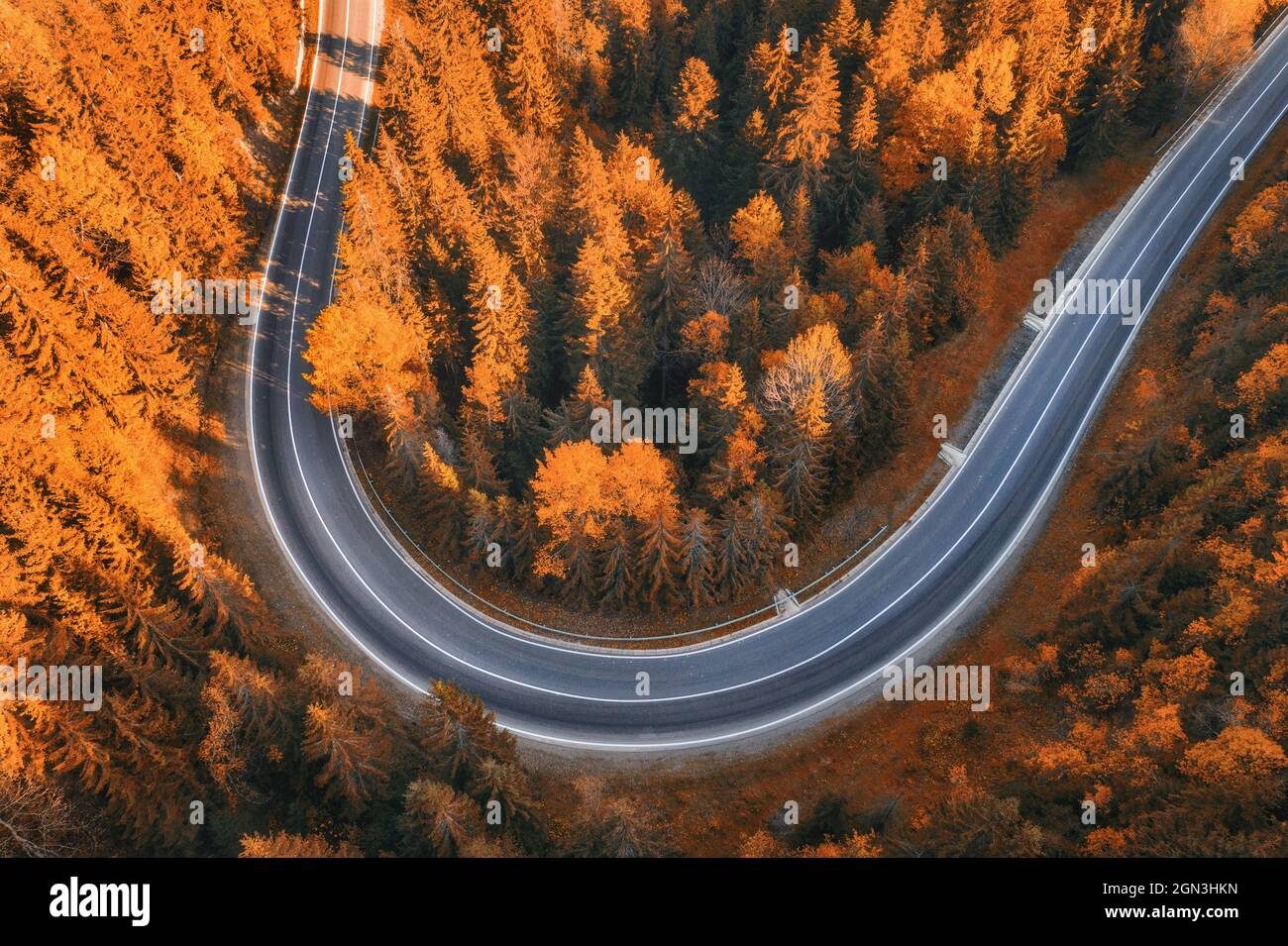 Aerial view of road in beautiful forest at sunset in autumn Stock Photo ...