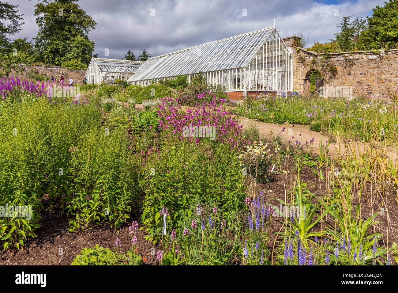 The Walled Garden at Cambo House and Gardens near St Andrews, Fife, Scotland. Stock Photo