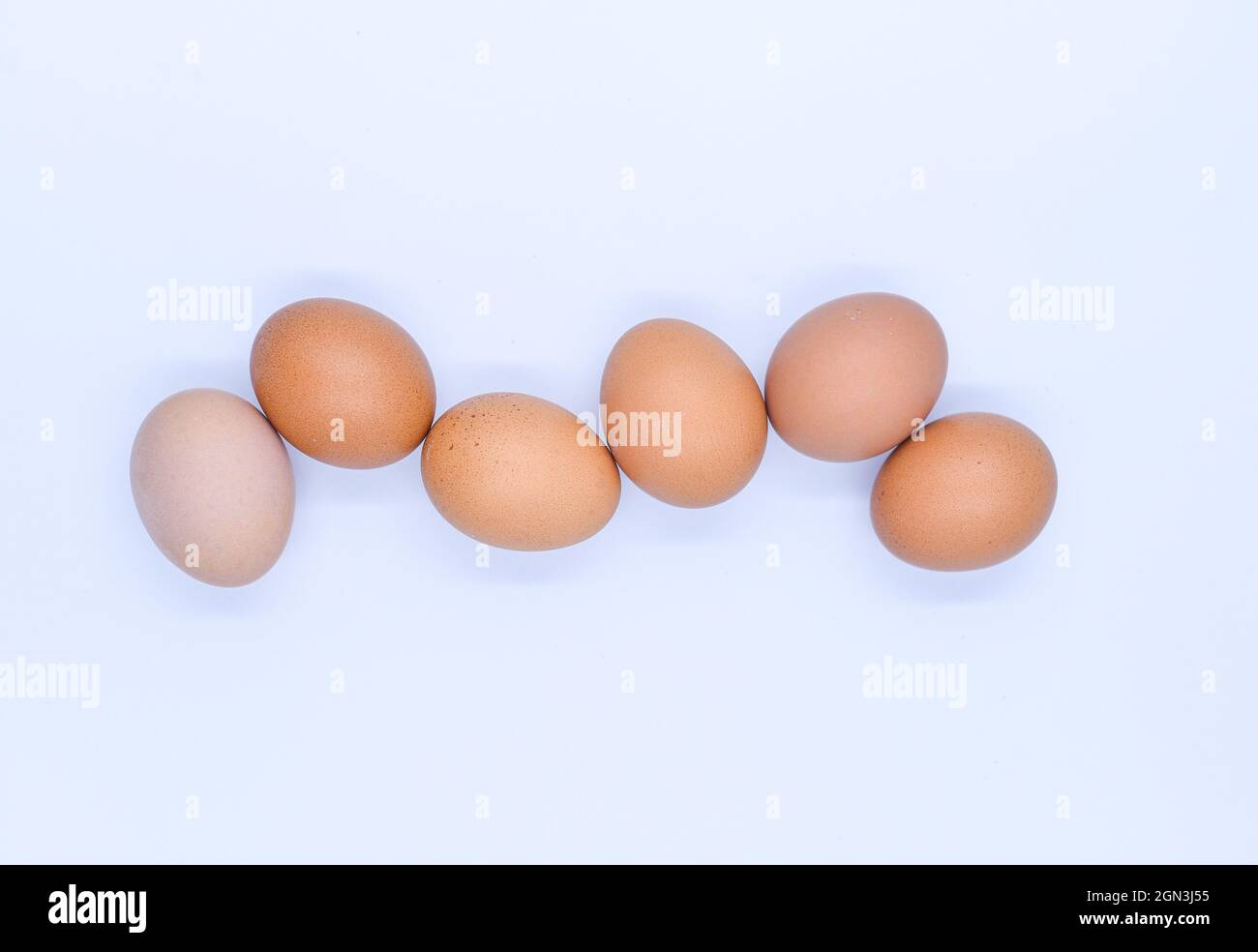 Closeup of the chicken eggs isolated on white background Stock Photo ...