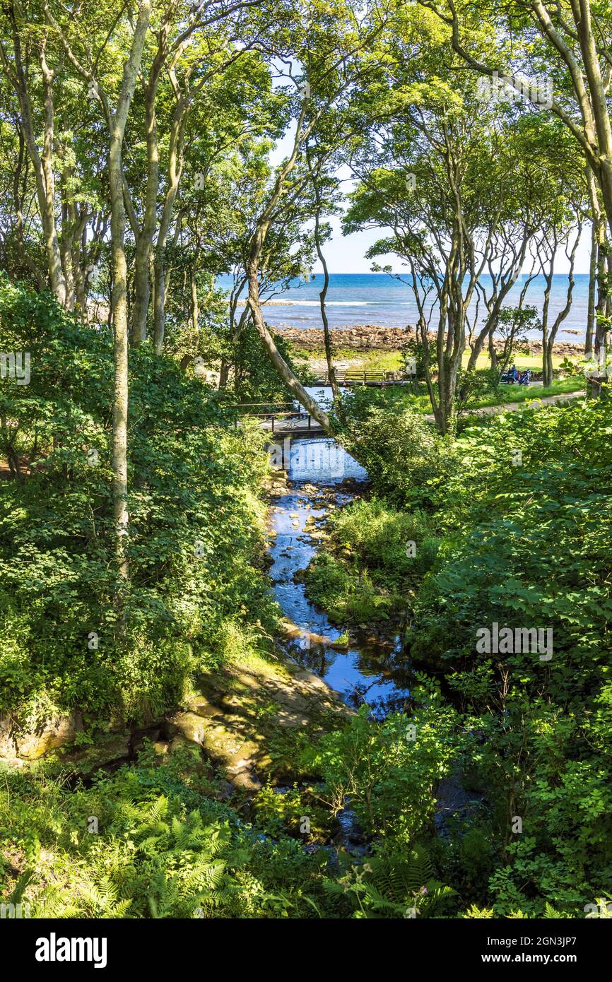 Bridges over Cambo Burn that flows from the Cambo Estate to the sea at Kingsbarns in the Kingdom Of Fife, Scotland. Stock Photo