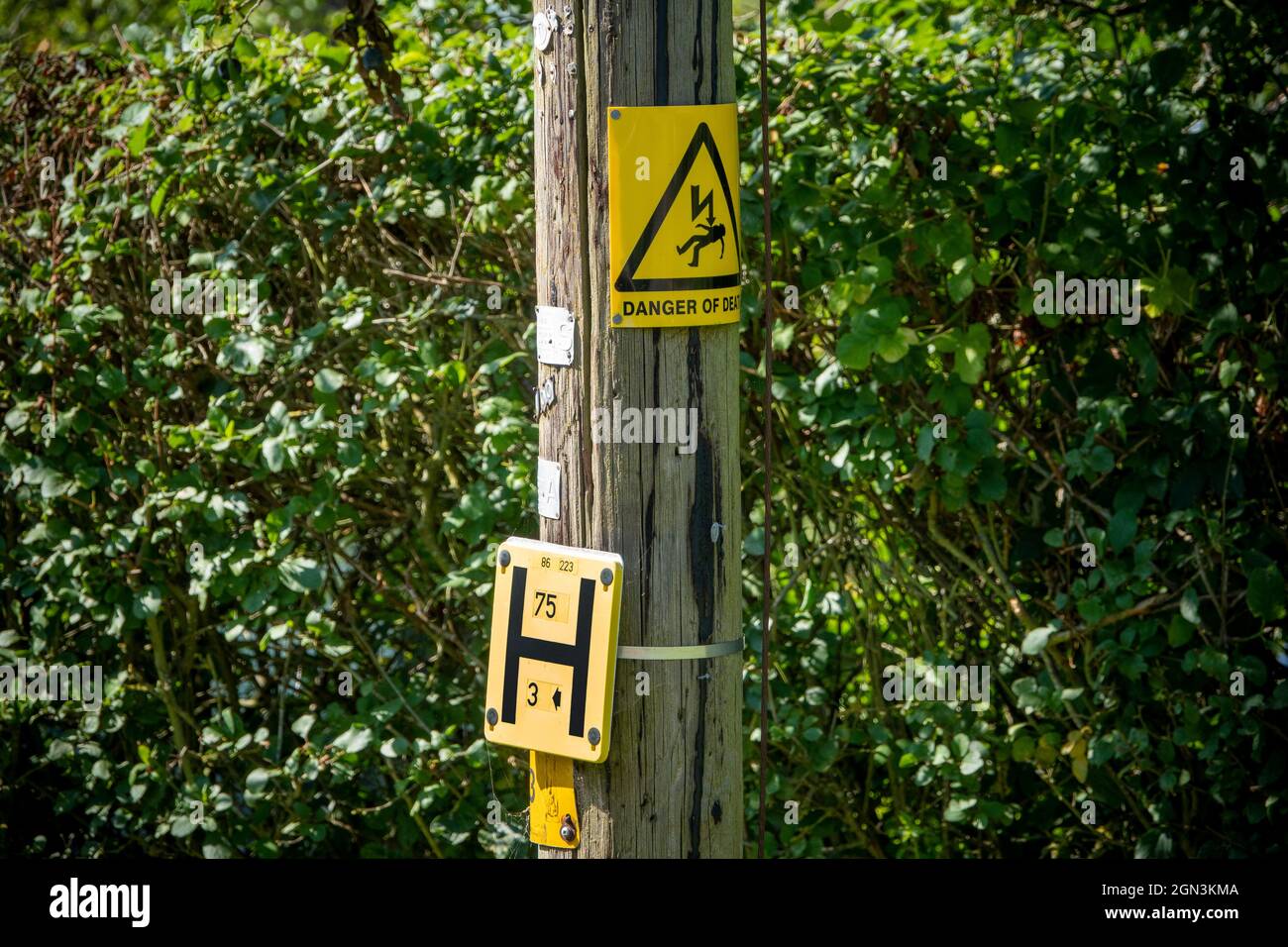 Danger of Death warning sign and fire hydrant indicator H sign on a wooden pole against a mixed green hedge Stock Photo