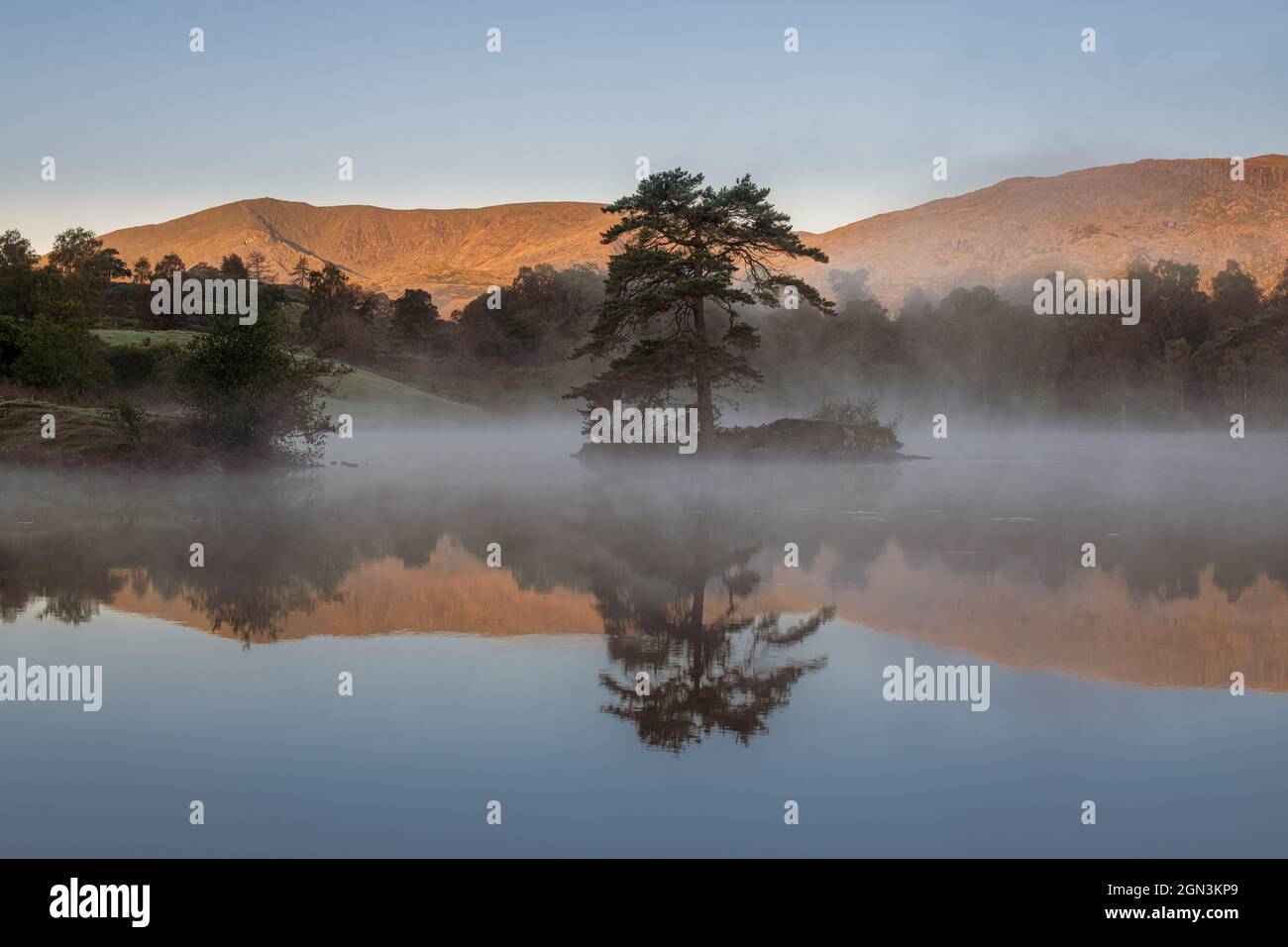 Howse Tarn Tarn Hows Coniston High Resolution Stock Photography and Images - Alamy
