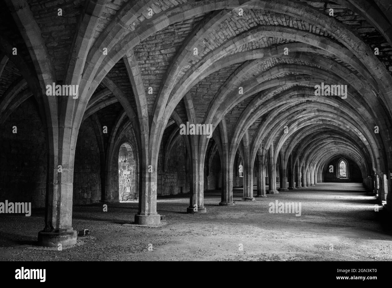 The beautiful columns and vaulted roof of the cellarium at Fountains Abbey Stock Photo