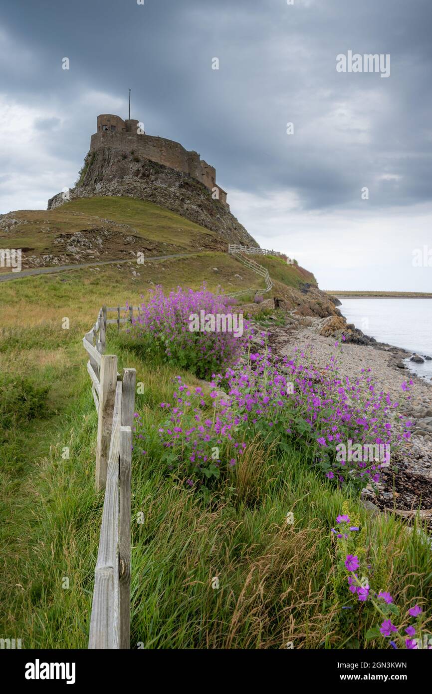Looking up to Lindisfarne Castle from the shore Stock Photo
