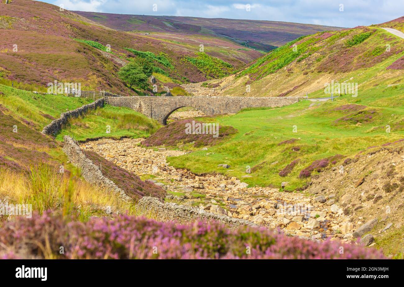 Surrender Bridge, Mill Gill, or Old Gang Beck near Reeth in a remote area of Swaledale during  August when the purple heather is in full bloom. Stock Photo