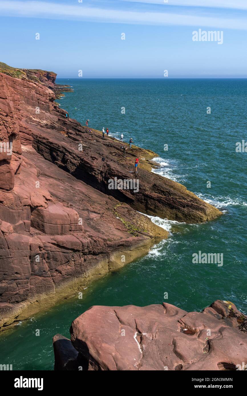 Anglers fishing off the rocks from the red sandstone Seaton Cliffs near Arbroath, Angus, Scotland. Stock Photo