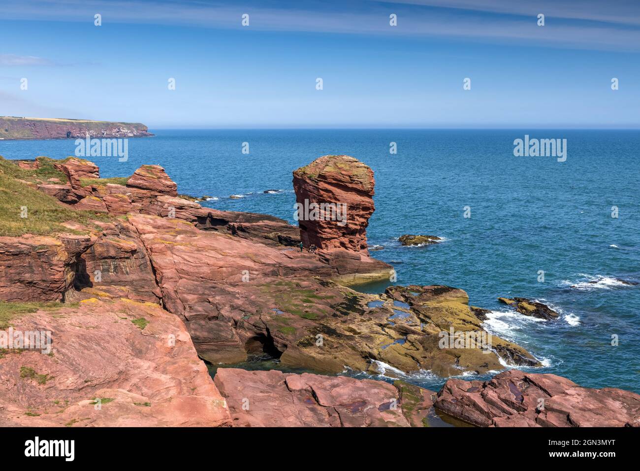 Deil's Heid (Devil's Head), a red sandstone sea-stack and a distinctive feature of the cliffs to the north of Arbroath on the east coast of Scotland. Stock Photo