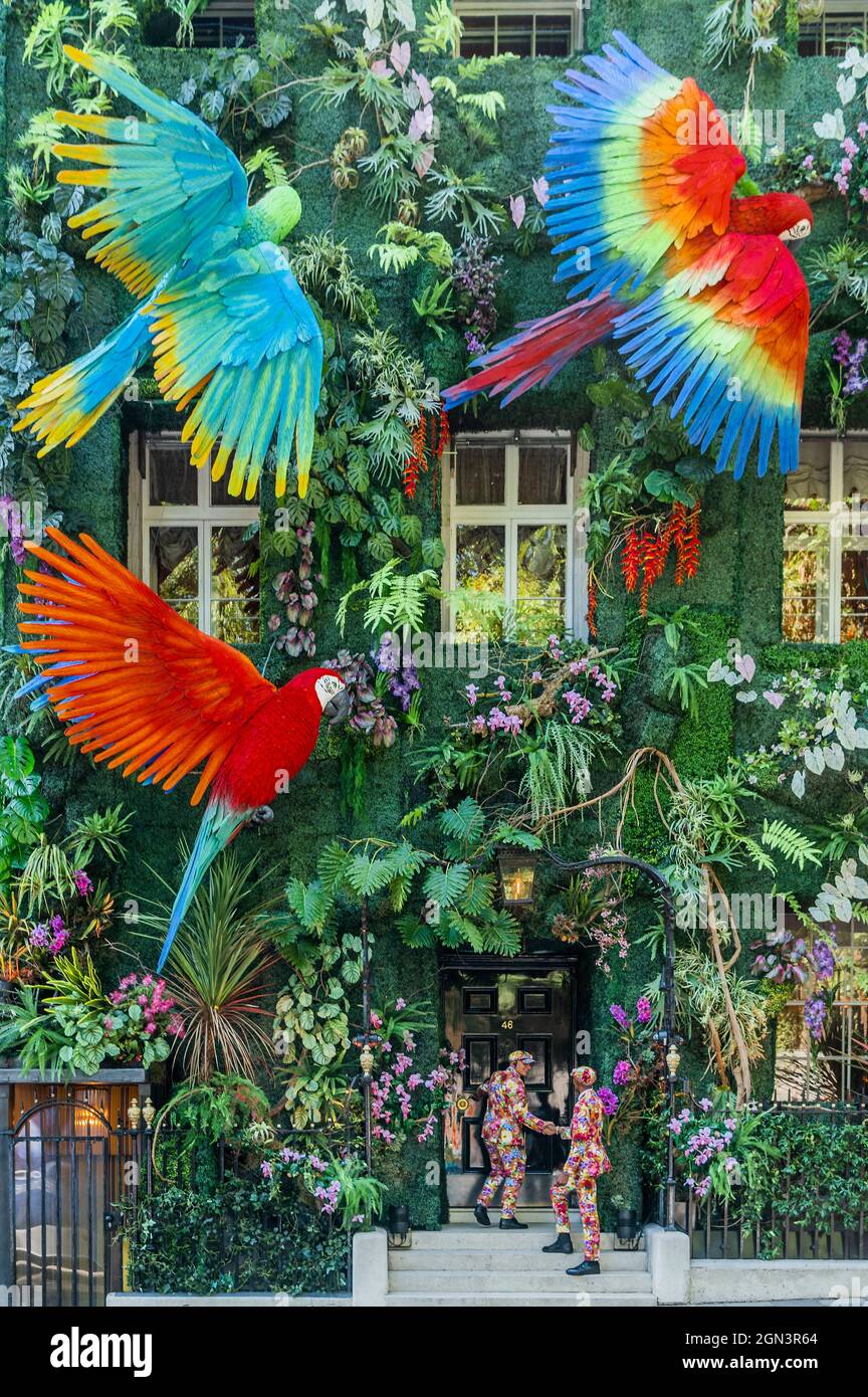 London, UK. 22 Sep 2021. Annabel's for The Amazon sees a rainforest ...