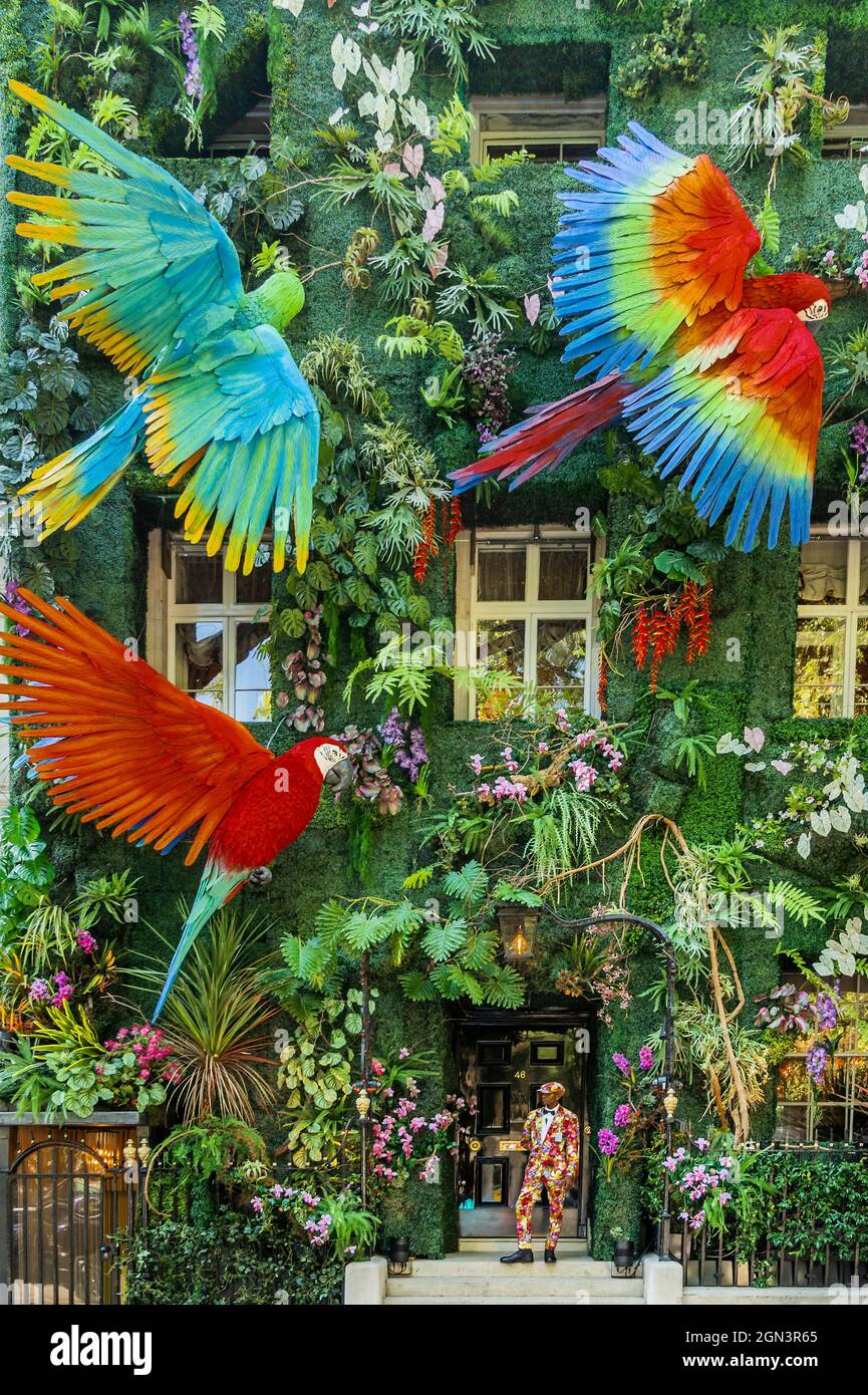London, UK. 22 Sep 2021. Annabel's for The Amazon sees a  rainforest-inspired facade in honour of their inaugural green-carpet event,  which takes place on 30 September. The charity event, hosted by The