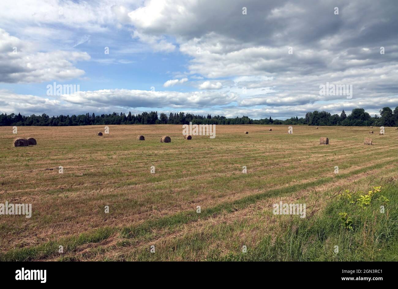 Beautiful rustic landscape with hay rolls on cultivate field under blue ...