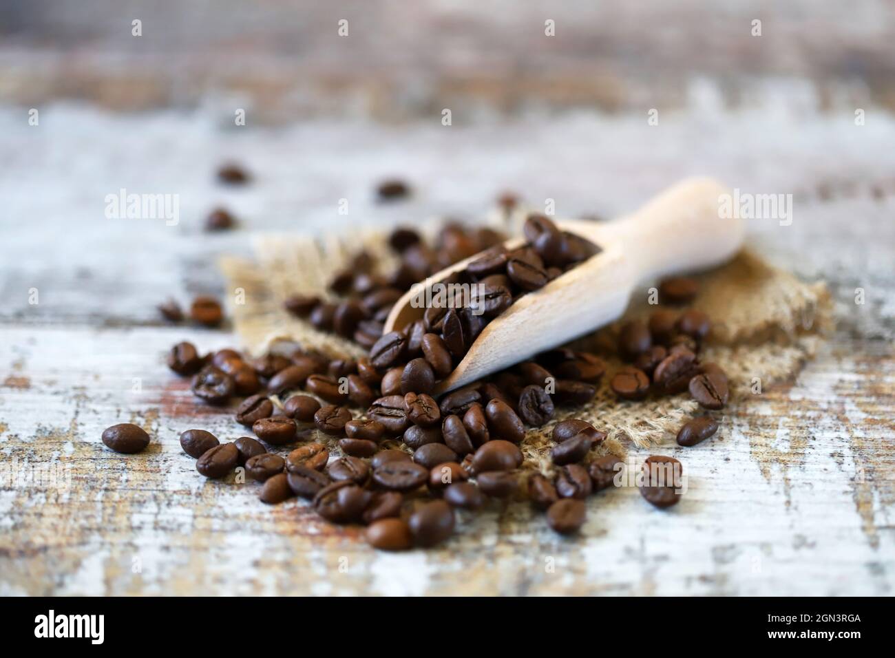 Coffee beans in a wooden spatula. Roasted coffee beans. Stock Photo
