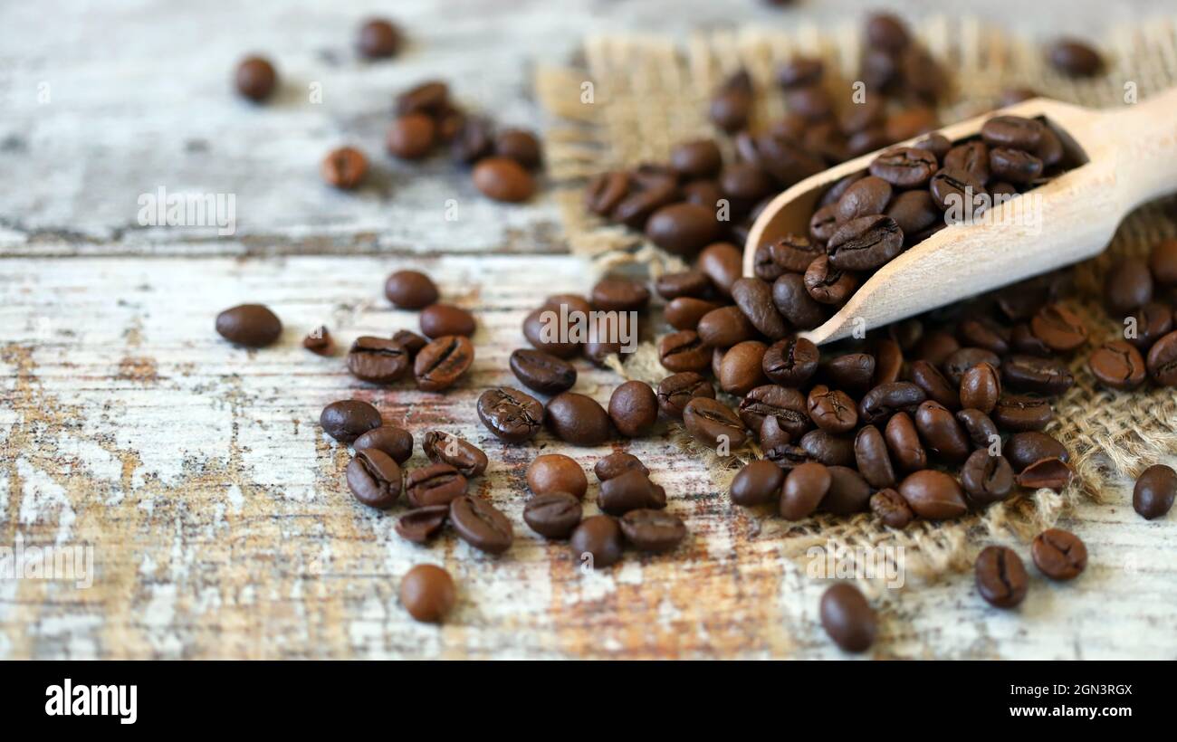 Coffee beans in a wooden spatula. Roasted coffee beans. Stock Photo