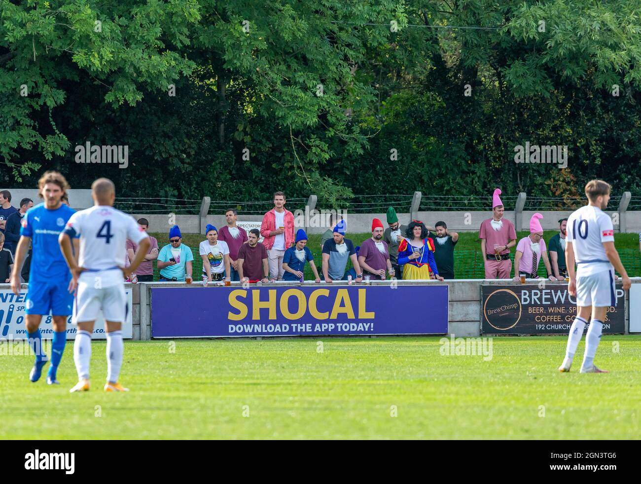 A group of male friends dressed as Snow White and the Seven Dwarfs have their Stag Party watching Trafford FC Stock Photo