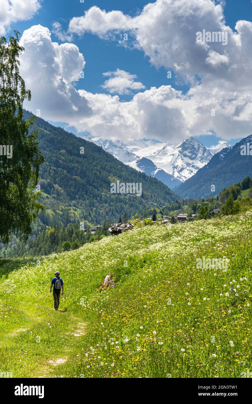 A man walks across a summer alpine meadow towards a village with mountains in the background. Stock Photo