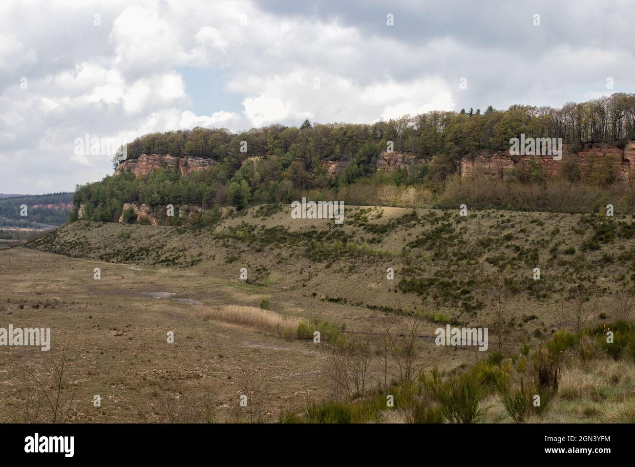 A Landscape of a Quarry in Liskeard, Cornwall, UK Stock Image - Image of  hills, landscape: 111763907