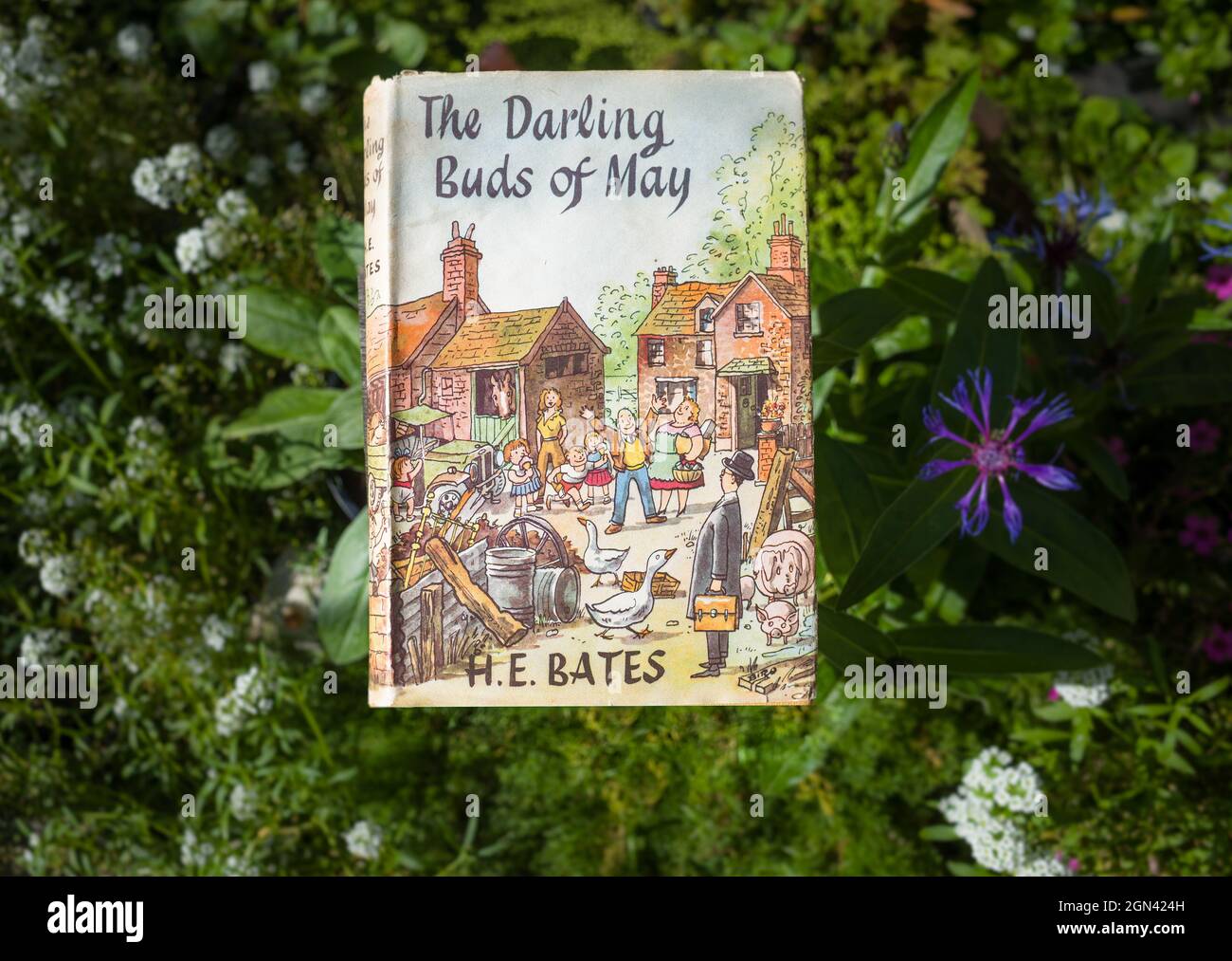 A vintage copy of H.E Bates book 'The Darling Buds Of May', featuring the Larkin Family. Stock Photo