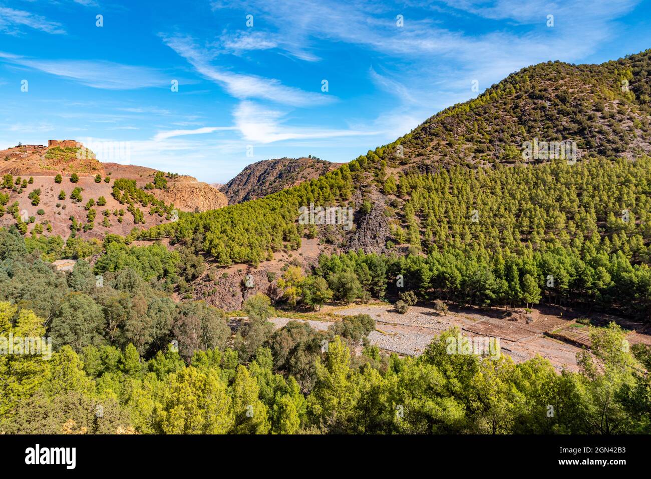 Cliffs aerials of the National parkland and forest in the spring season in Atlas, Morocco - Africa Stock Photo