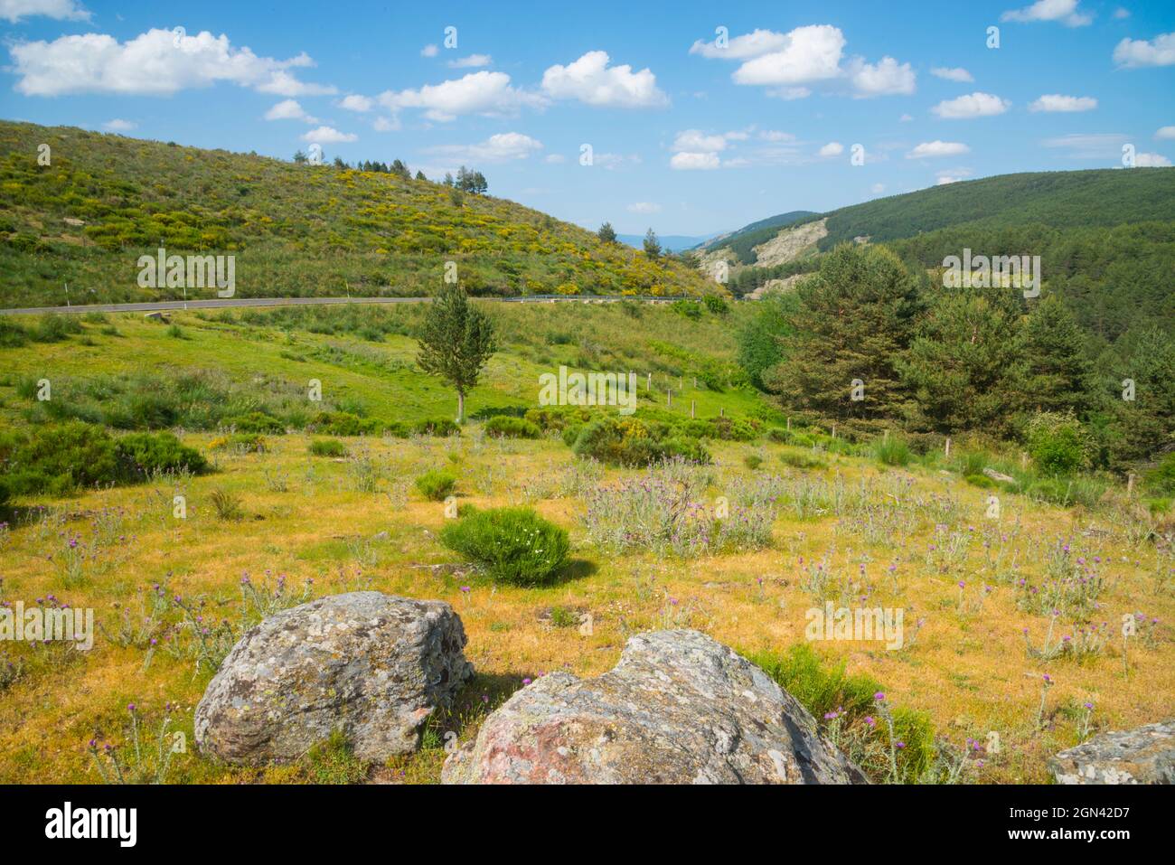 Landscape. La Morcuera mountain pass, Madrid province, Spain. Stock Photo