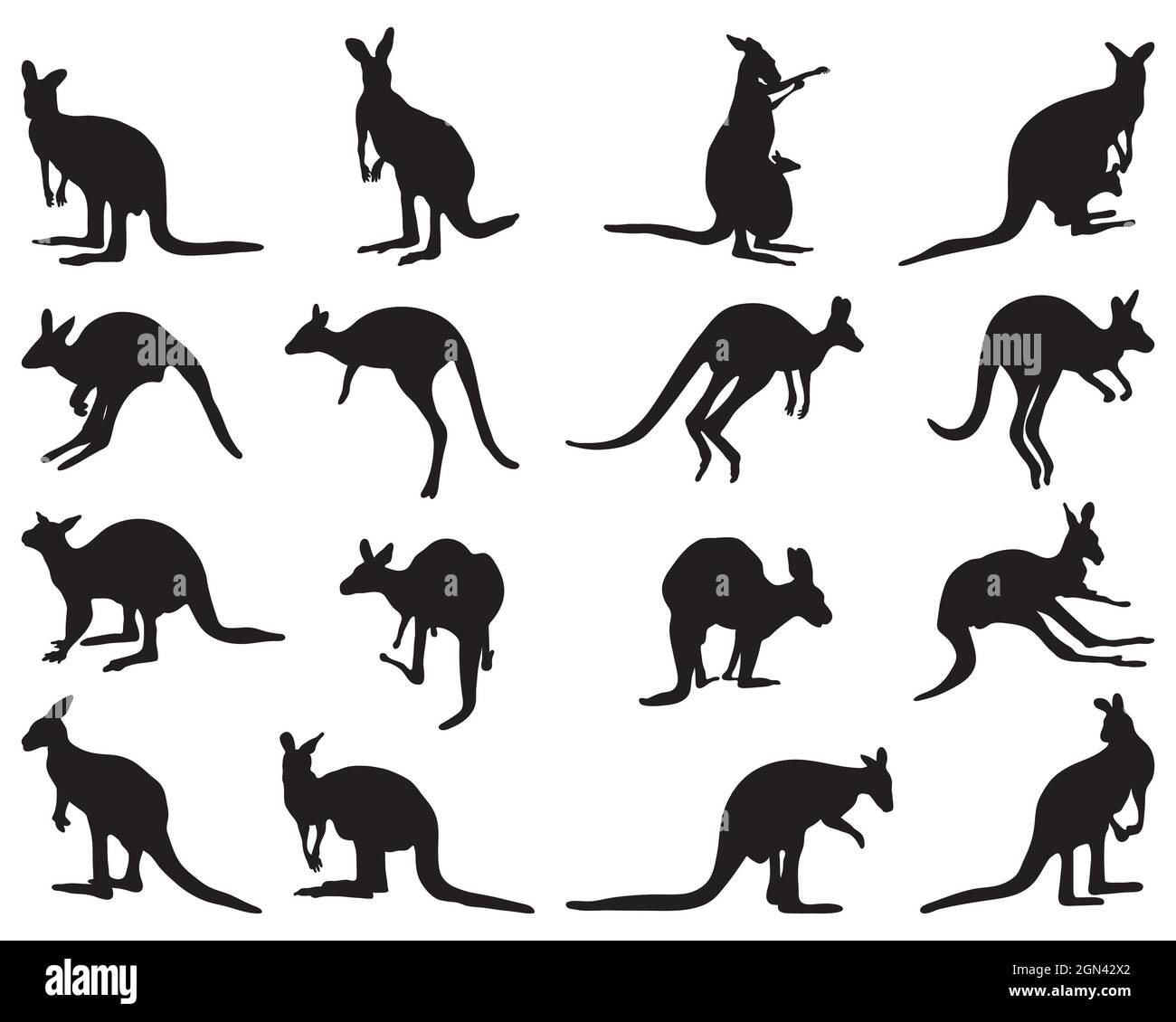 Black silhouette kangaroo Cut Out Stock Images & Pictures Alamy