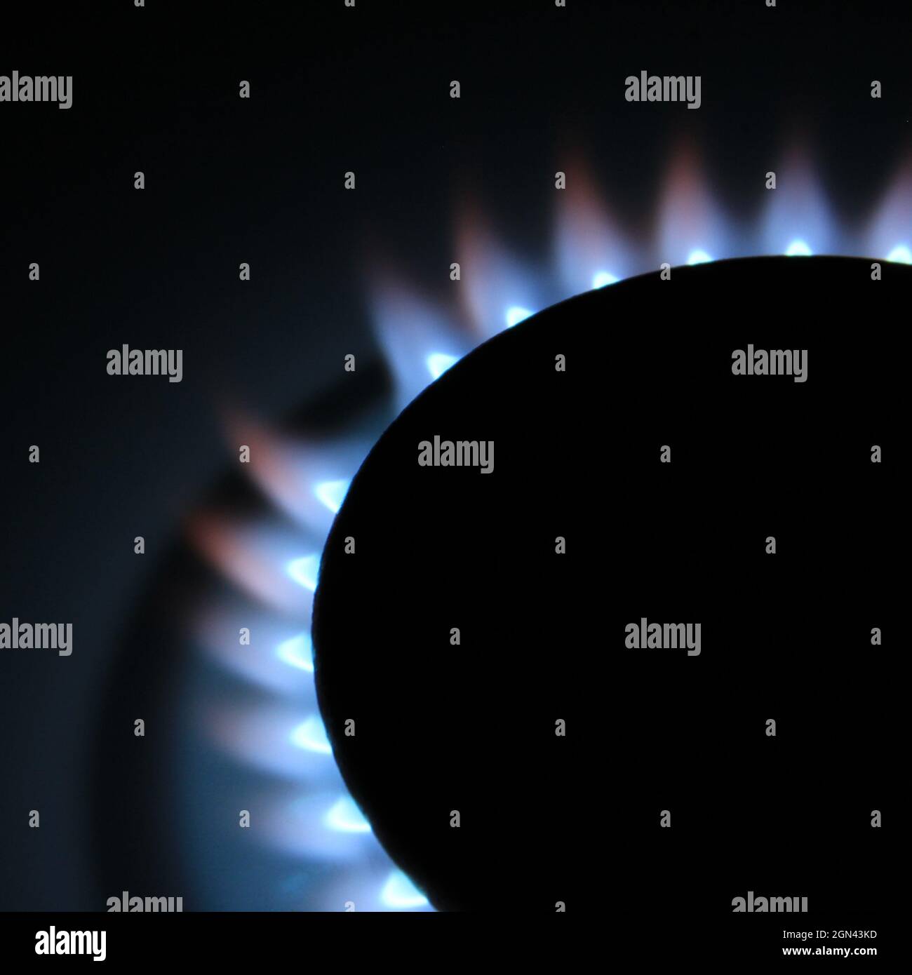 Blue flames from stove burner Stock Photo Alamy
