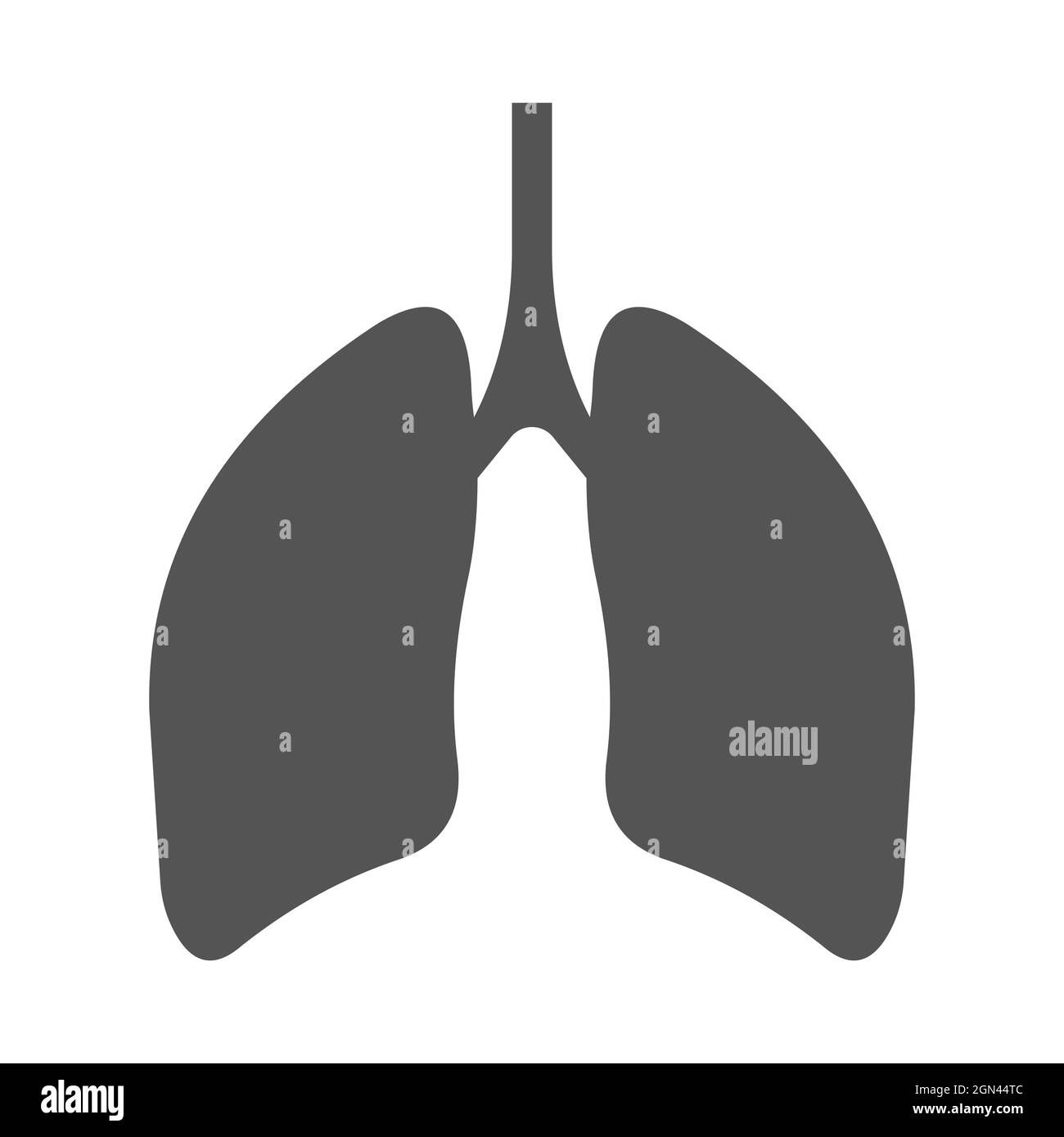 Lungs human respiratory organ, silhouette respiratory tract lungs Stock Vector