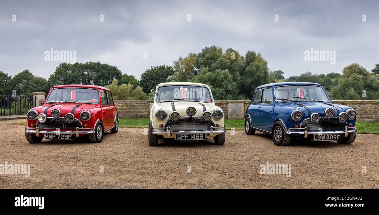 Classic Austin Mini Cooper S's, Italian Job replicas, Concours of Elegance 2021, Hampton Court Palace, London, UK Stock Photo