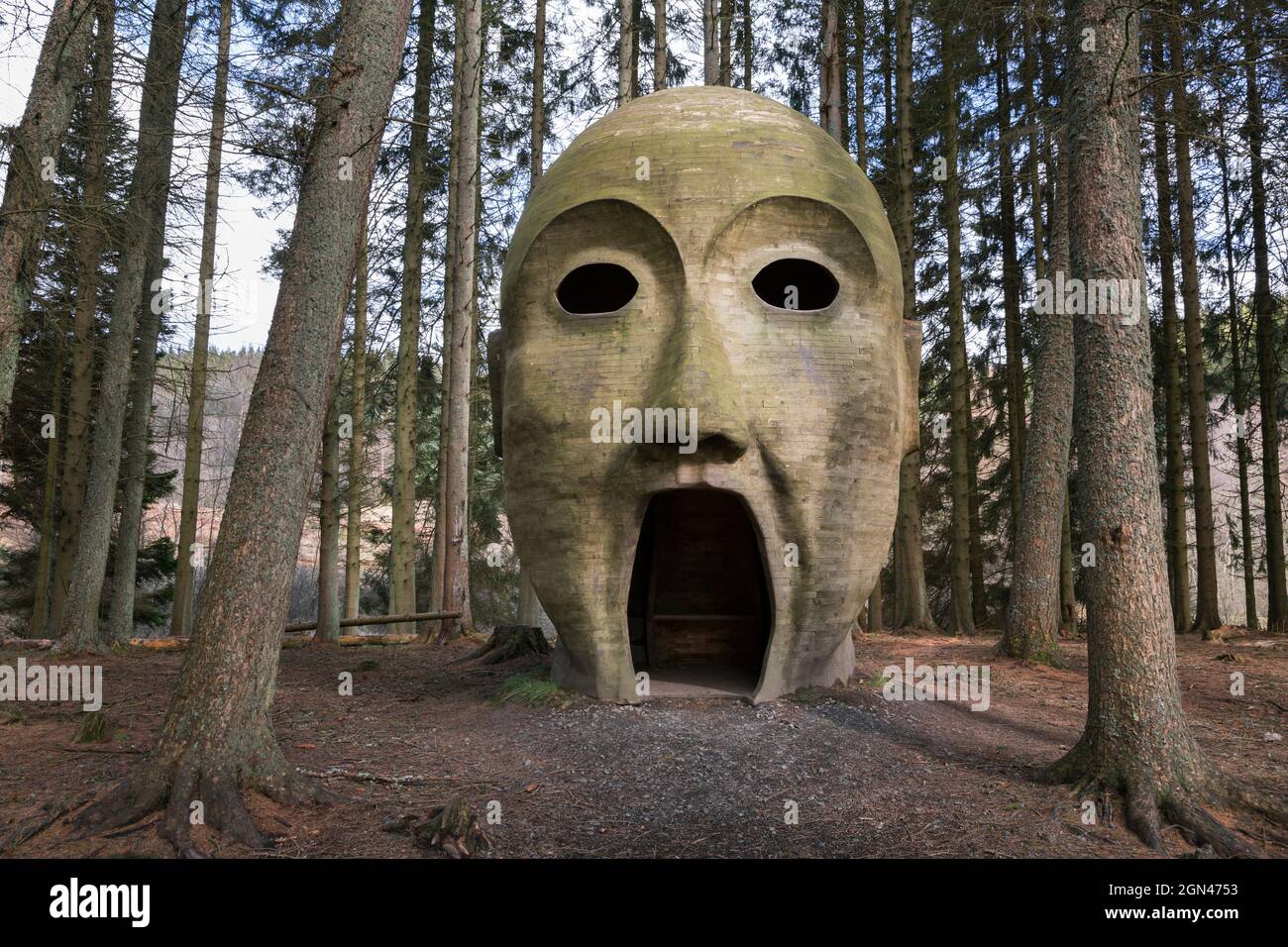 Silva capitalis, forest head sculpture, part of Kielder Water and Forest Park art trail, Northumberland, UK Stock Photo