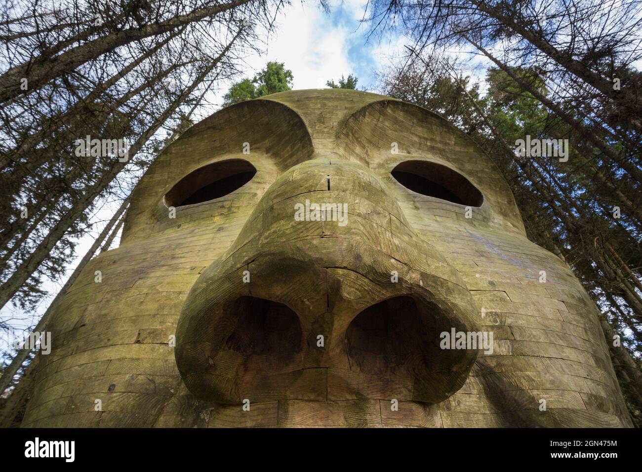 Silva capitalis, forest head sculpture detail, part of Kielder Water