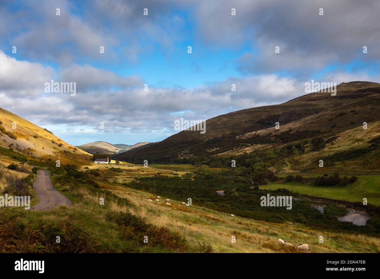 College valley, view to Cuddystone Hall, Northumberland national park, UK Stock Photo