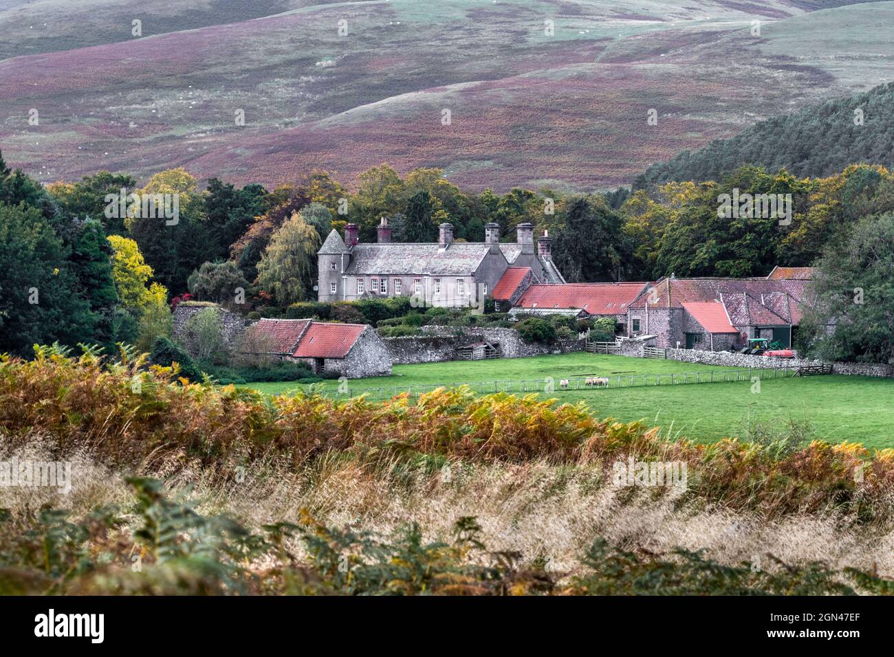 College valley, view to Hethpool House, Hethpool, Northumberland national park, UK Stock Photo