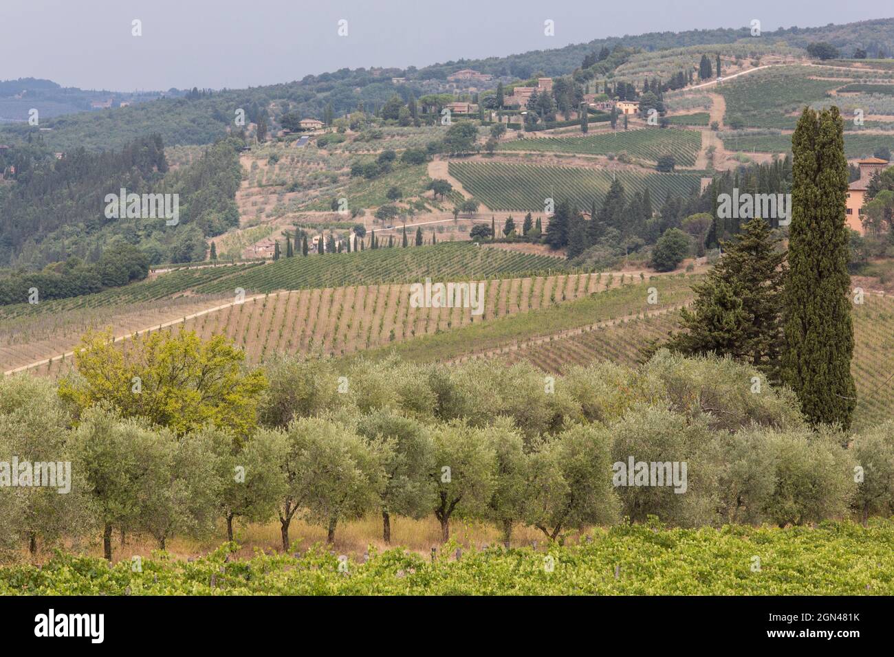 LANDSCAPES OF THE CHIANTI REGION,TUSCANY,ITALY Stock Photo