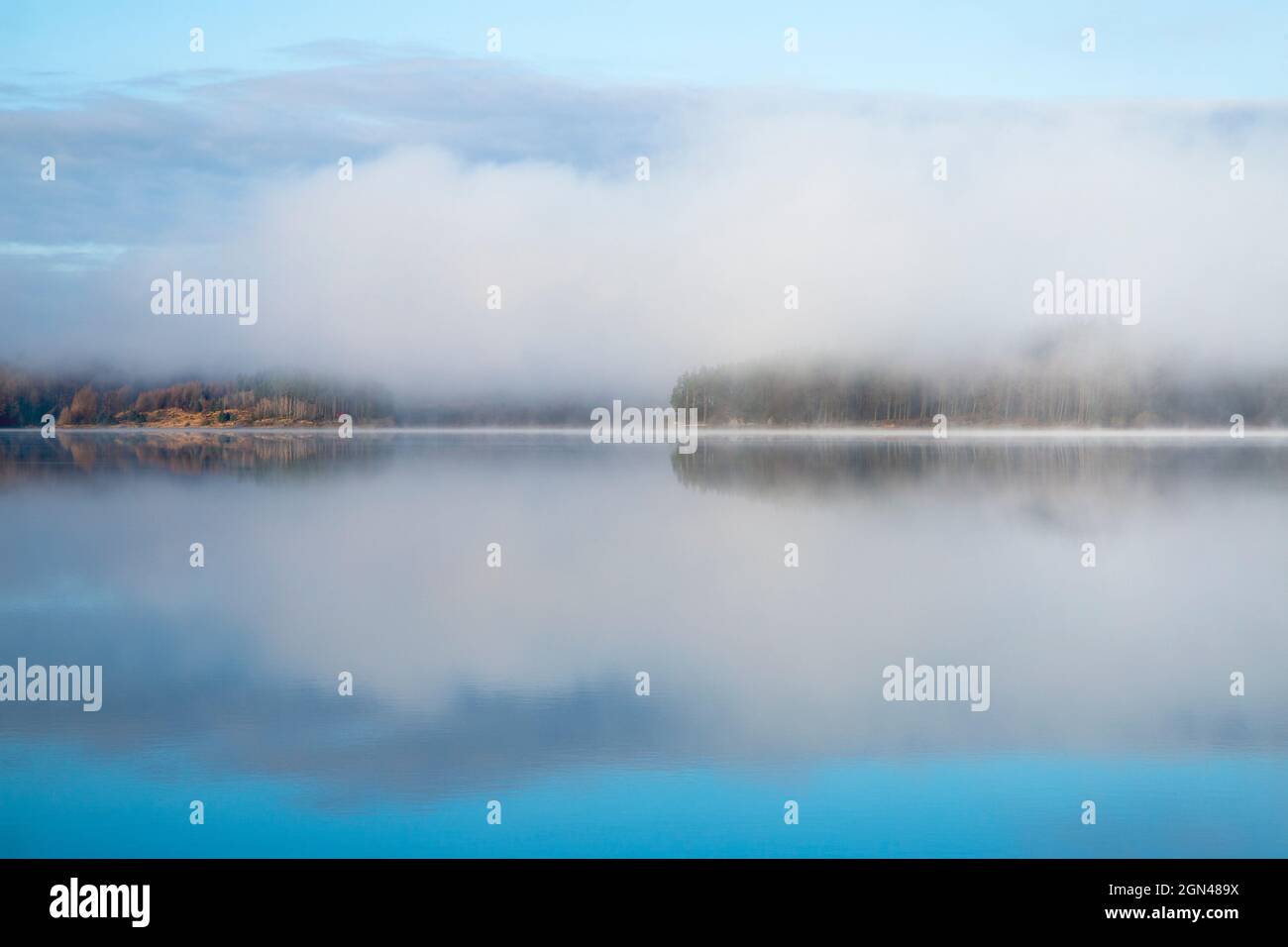 Kielder Water & Forest Park, Northumberland, UK Stock Photo