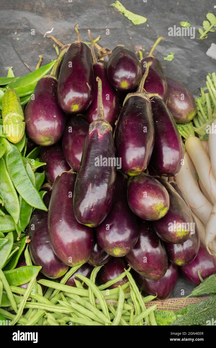 Brinjal is a plant species in the nightshade family Solanaceae. Solanum