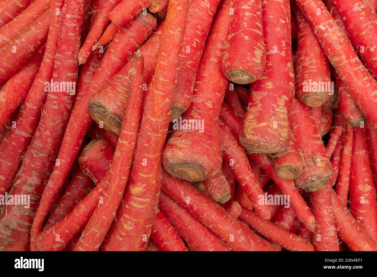 Carrot, Daucus carota , is a root vegetable, usually orange in colour, a domesticated form of the wild carrot. Vegetables for sale in a market in Terr Stock Photo
