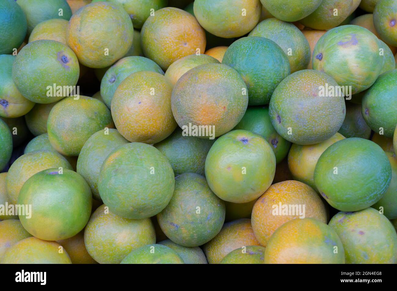 Citrus limetta, is a species of citrus, commonly known as mousambi, musambi, sweet lime or sweet lemon. Vegetables for sale in a market in Territy Baz Stock Photo