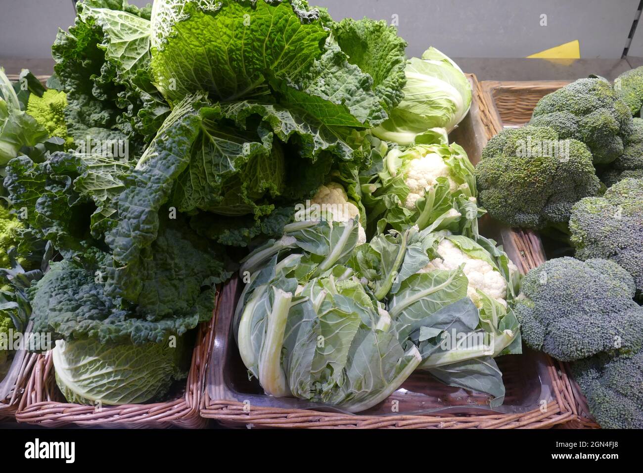 Coliflor, brokkoli, savoy, organic winter vegetables , cabbage varieties, havest on food market. Stock Photo