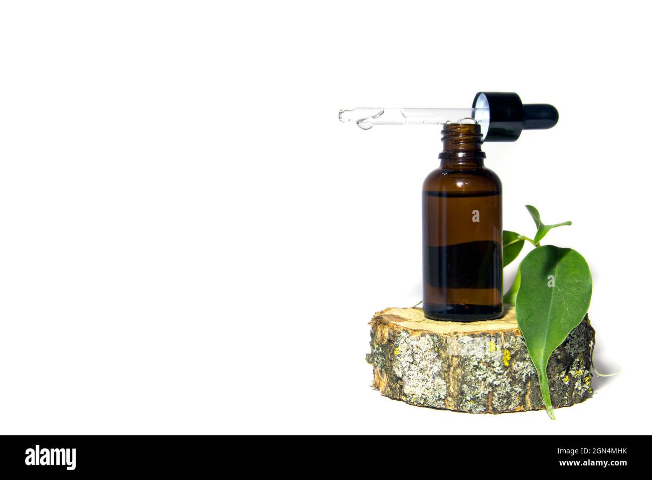 One glass bottle of brown serum with a dropper on a moss-covered wooden podium. Spa cosmetic concept. Place for your text. Organic cosmetics. Stock Photo