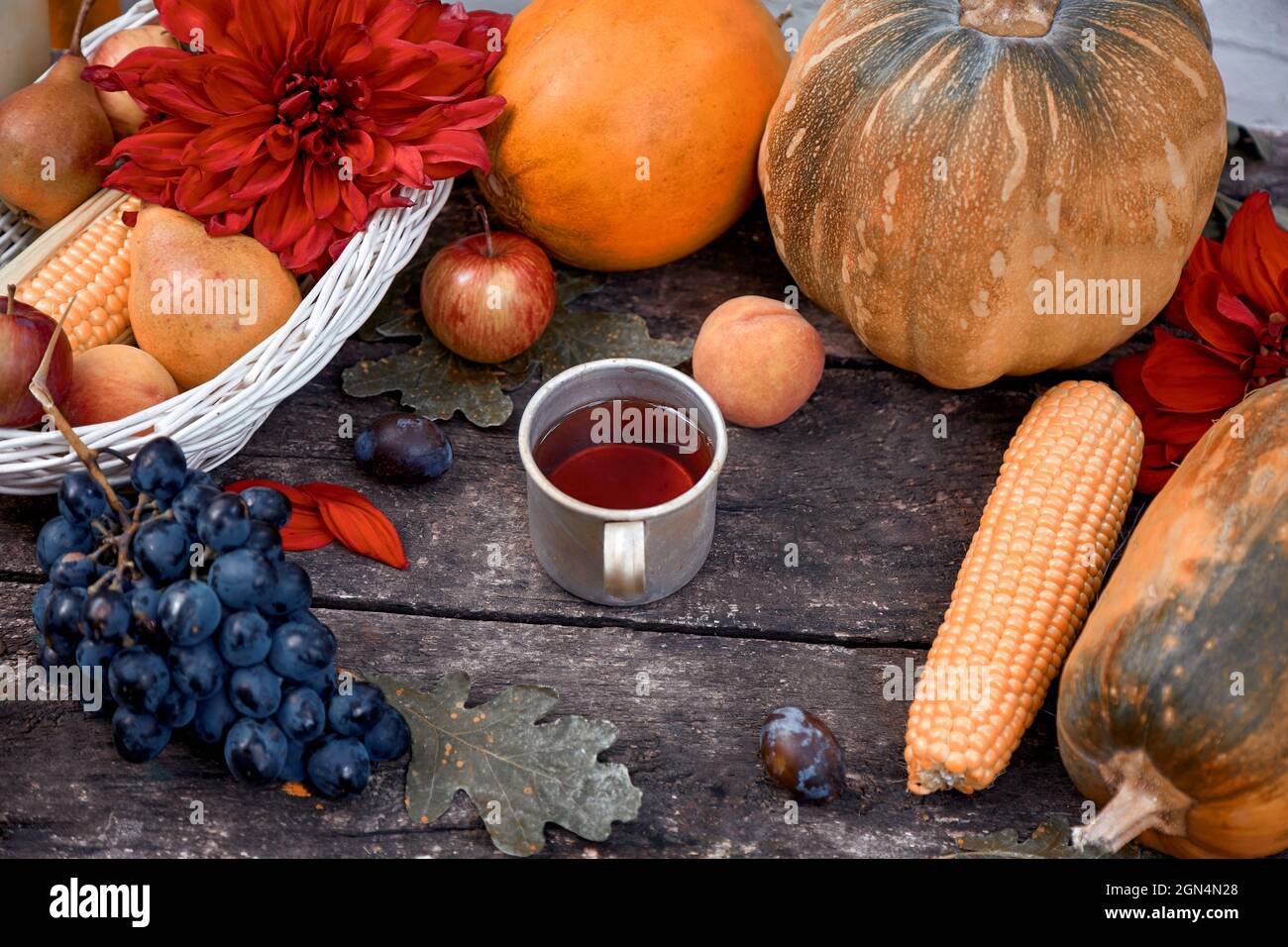 Cottagecore Aesthetic: fruits and vegetables: pumpkin, pears, apple and melon. Thanksgiving Day concept. Autumn still life with red dahlia and mug of tea. High quality photo Stock Photo